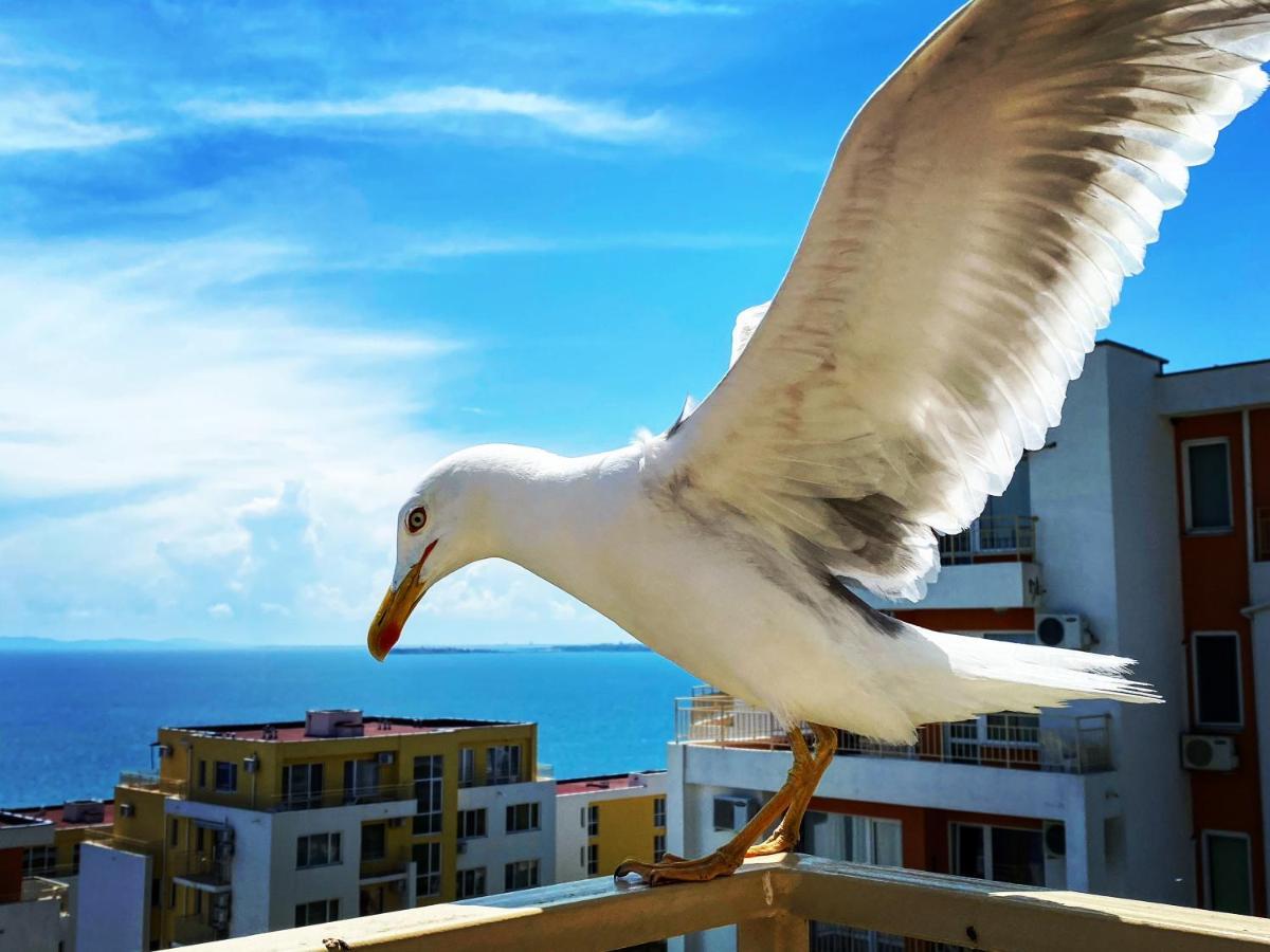 Sea View Panoramic Apartments, Fort Noks Crown Club 圣弗拉斯 外观 照片